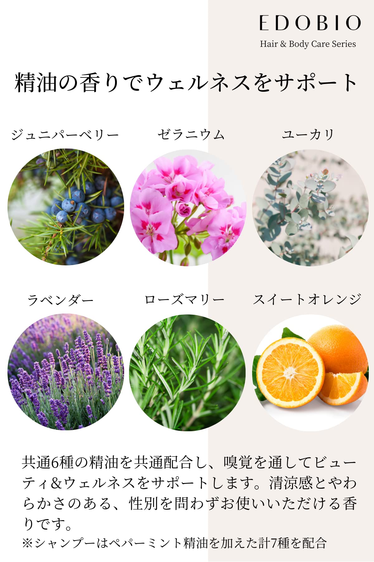 Amazon | ボティーソープ EDOBIO(エドビオ) リニュウイングボディー